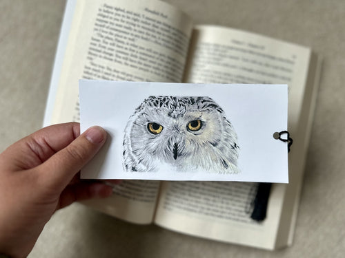 Bookmark