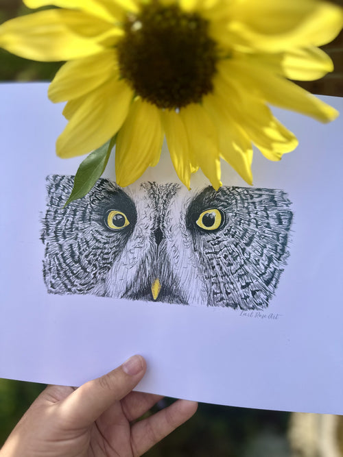 Great Grey Owl Print