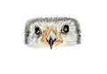 Pygmy Falcon Print