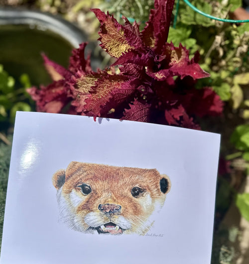 Asian Short Clawed Otter Print