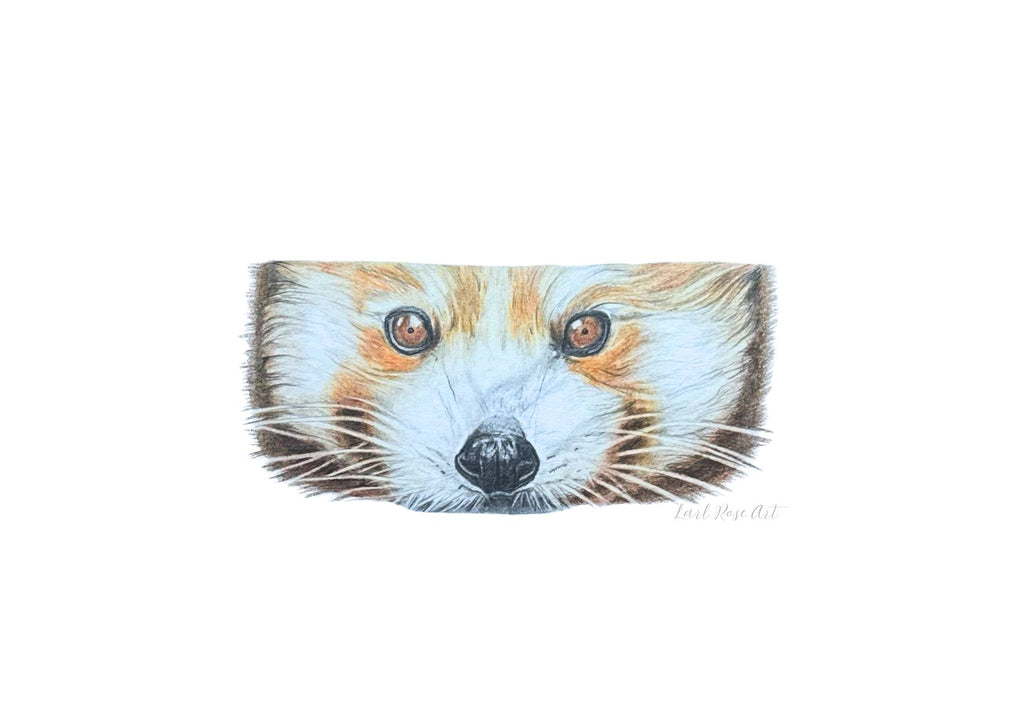 Red Panda Print