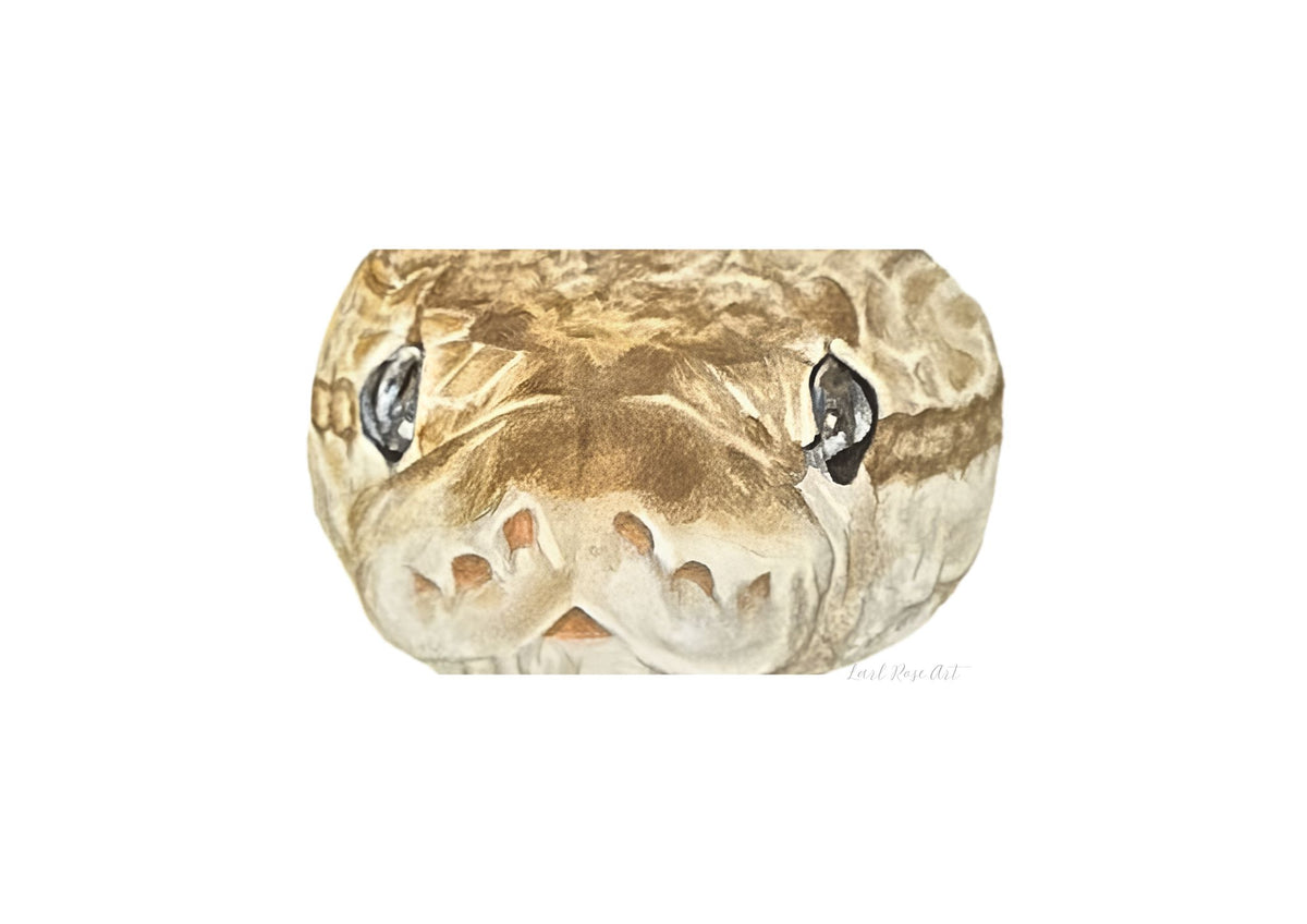 Snake Print