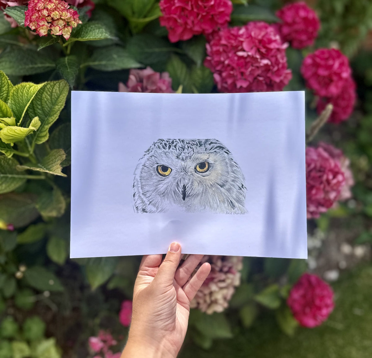 Snowy Owl Print