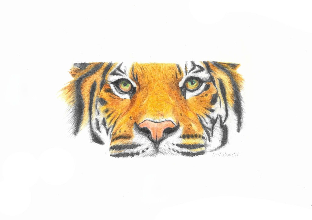 Sumatran Tiger Print