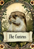 Natural Animal Tarot Cards